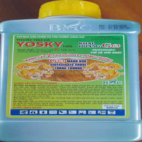 YOSKY - KHAI HOANG- G63