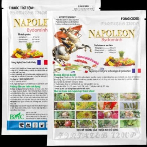 NAPOLEON - 500gr - XANH